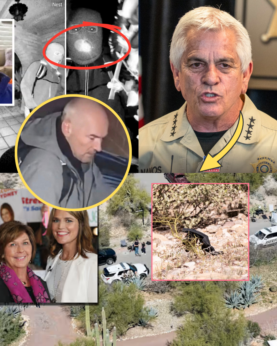BREAKING: Arizona Sheriff Spends $200K on Private Lab While Rejecting FBI Help, Redirect the investigation toward him