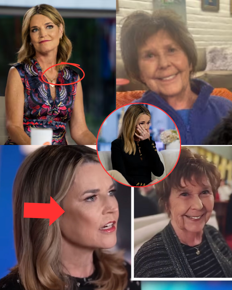 ‘It’s Every Family’s Worst Fear’ – HEARTBREAK AS PERSONAL BELONGINGS FOUND! Nancy Guthrie’s Purse and Phone Discovered Abandoned in Remote Woods