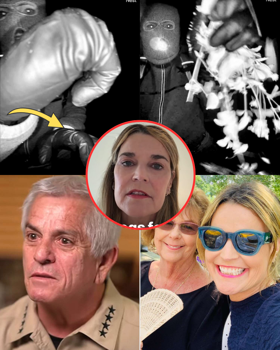 Just Now: FBI Uncovers Suspect’s Link to Col;;omb;ian Ca;rte;ls — Is This the Man Who Goog;;led Nancy Guthrie 100 Times Before the Raid?