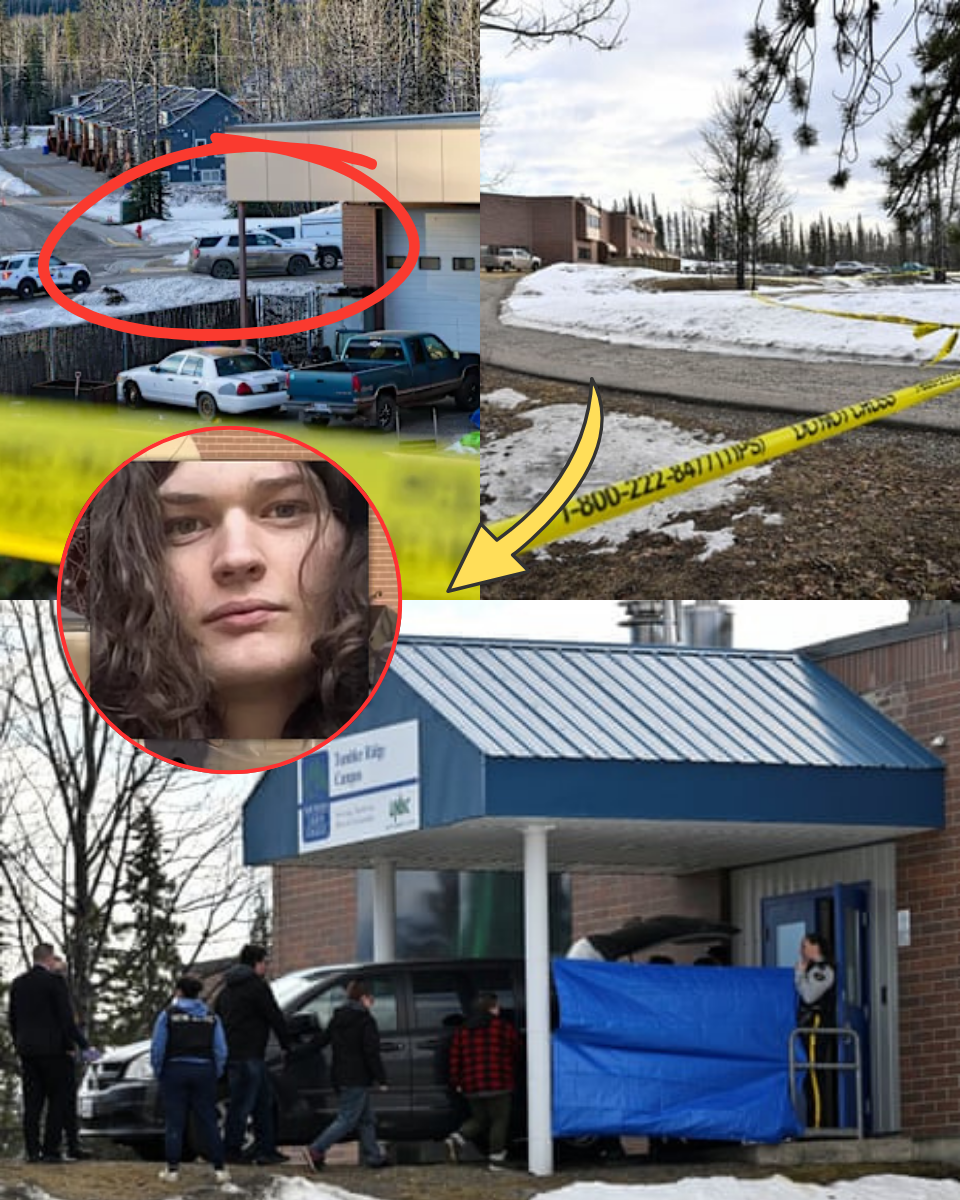 A TRAGEDY FORETOLD: How a Torn Photo in the Rubbish Revealed Jesse Van Rootselaar’s Secret War on Her Family