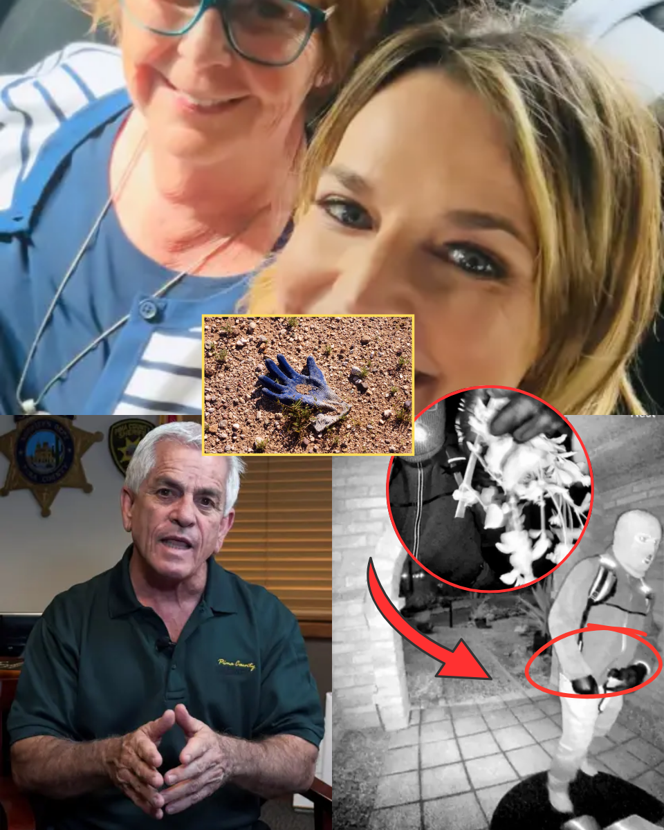 RIGHT NOW: THE END OF HOPE? Savannah Guthrie Personally Breaks Silence on Day 16 to Confirm the REASON Burglary is Off the Table—The ‘Signal Sniffer’ Found the Truth..