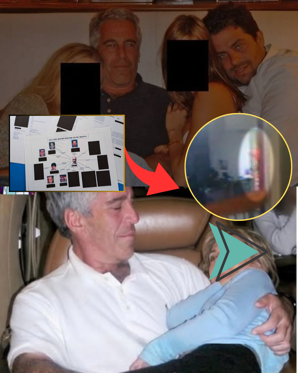 Epstein Funded Secret Science Projects to Build ‘New Organs’ From His Own Cells — Inside the Twisted Plan to Live Forever!