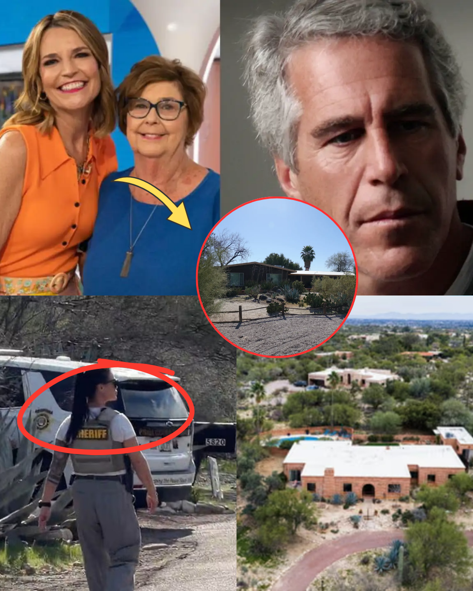 Unbelievable THE PRICE OF TRUTH – Savannah’s Epstein Interviews Trigger the Hit? Pima Police Secure Tape of Sister’s Collusion as Abduction Story Crumbles!