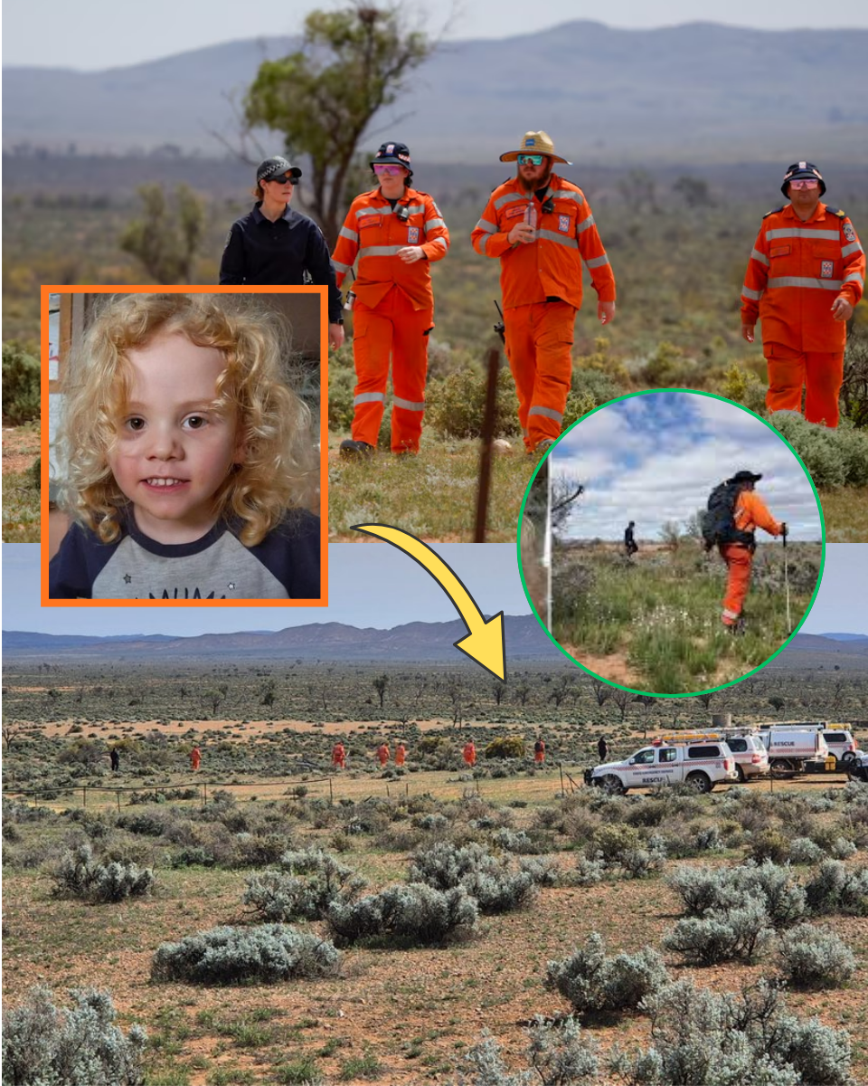 BREAKING TODAY: Why Cops Finally Branded A ‘Household Member’ A Suspect In Gus Lamont’s Outback Disappearance…