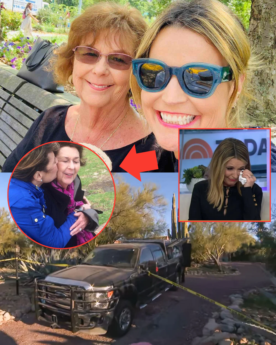 SH0:KING! A DAUGHTER’S ACCOUNT UNDER FIRE: Investigators Re-Examine Savannah Guthrie’s Sister as ‘Quiet Shift’ in Case Points to Internal Foul Play!