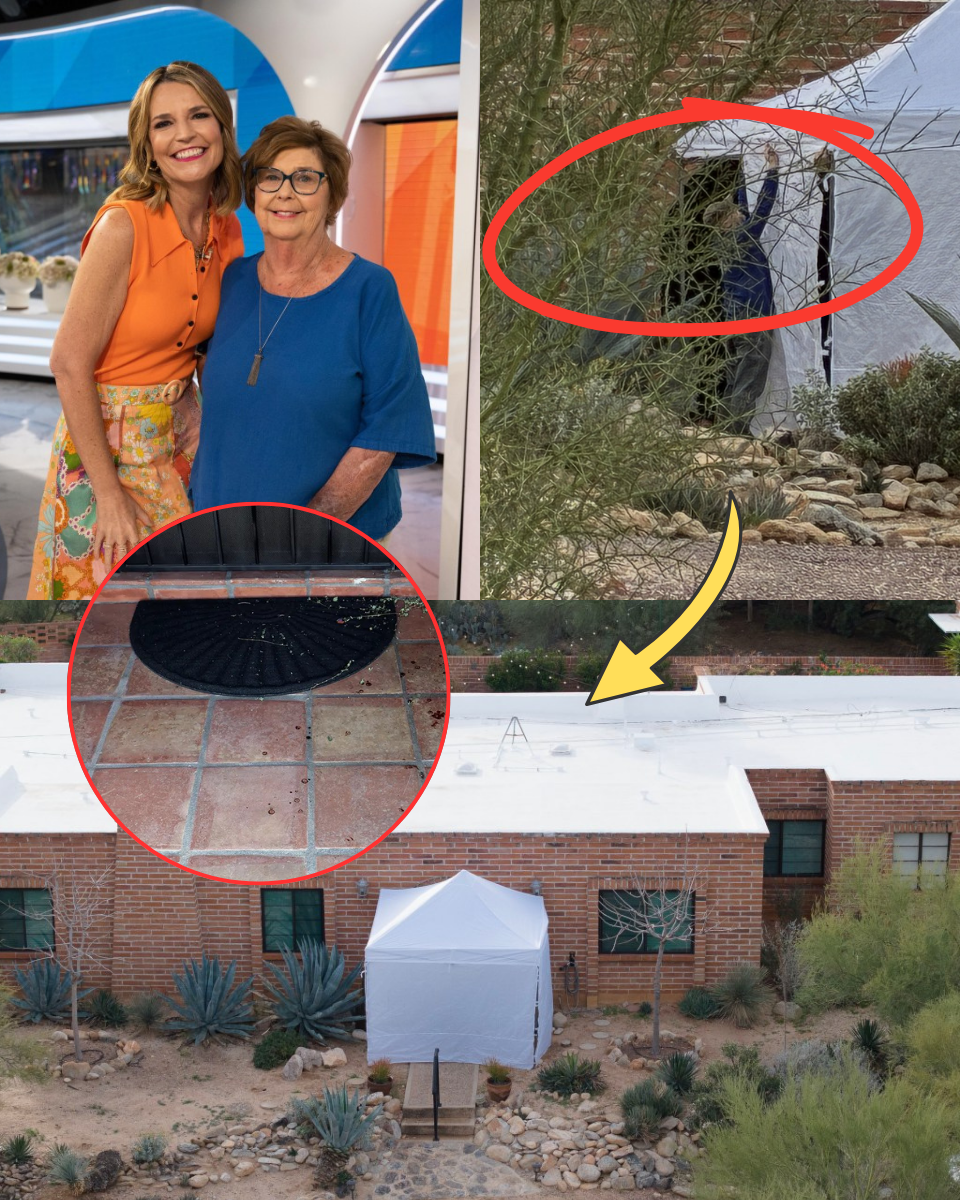 SH0:CK NEWS: SEALING THE BREAKTHROUGH: Why the FBI Erected a Forensic Lab Over Nancy’s Entrance Just Hours After Finding the ‘Black Glove’—Are They Matching DNA in Real-Time?