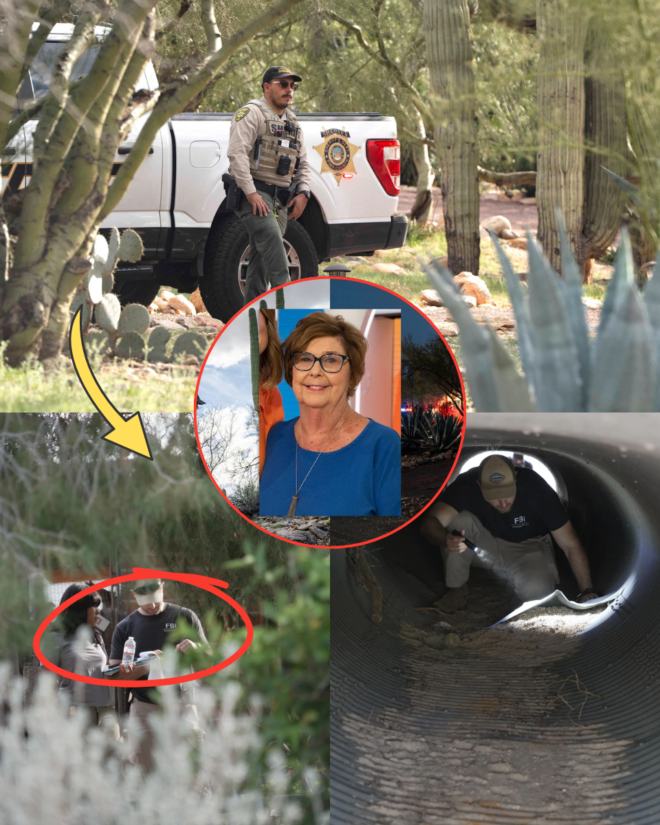 LATEST Savannah Guthrie Announces a HEARTBREAKING Discovery on Day 16โThe โSignal Snifferโ Found More Than Just a Heartbeat… THE FINAL WORD!