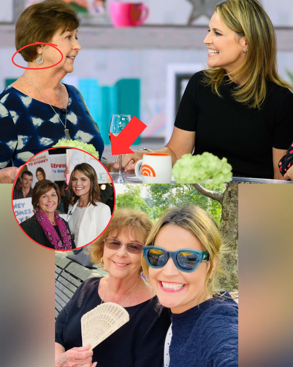 “I HEARD A PIERCING SCREAM AT 3 AM!” — Terrified neighbor breaks silence as police find ‘drag marks’ on the lawn of Savannah Guthrie’s mother’s million-dollar Arizona estate