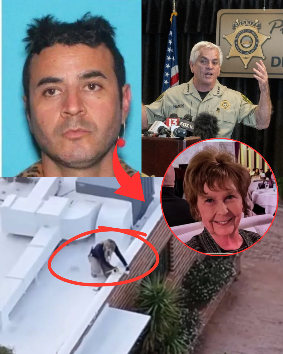 NATION REELS! How a ‘Grief Vulture’ With a Criminal Past Walked Free While Savannah Guthrie’s Mom Remains in Grave Da;nger — The Secret Cioni Link Exposed!