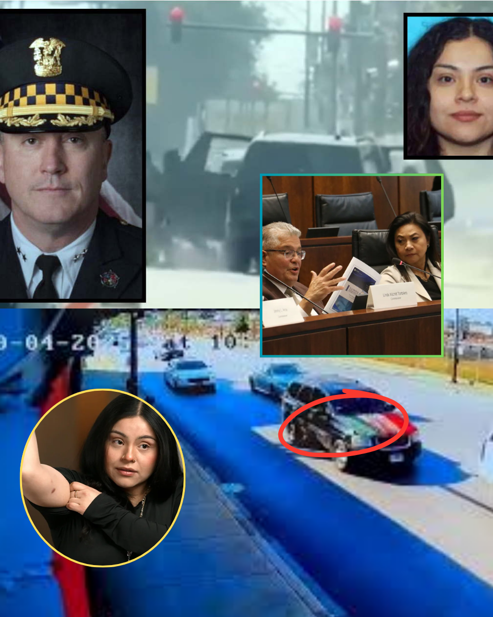 ‘PUT THAT IN YOUR BOOK, BOYS!’: Federal judge breaks the ‘Blue Wall of Silence’ to release the harrowing data that has left America in shock.