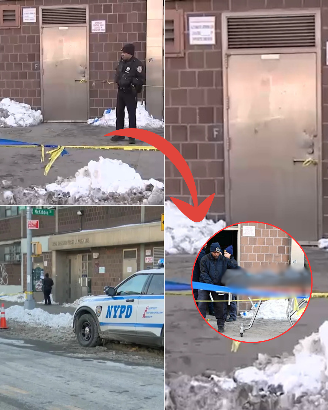 Breaking News: The identity of the woman’s body found in the basement of a building in Brooklyn — a revelation that has brought America to tears