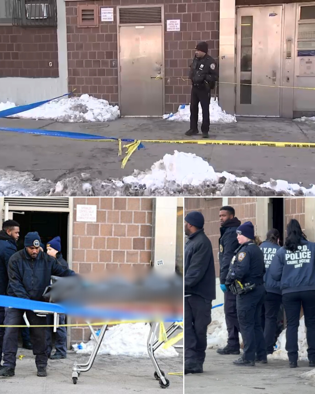 Identity Revealed of the Woman’s B0dy F0und in a Basement of a Building in Brooklyn — A Life Story That Has Left America in Tears