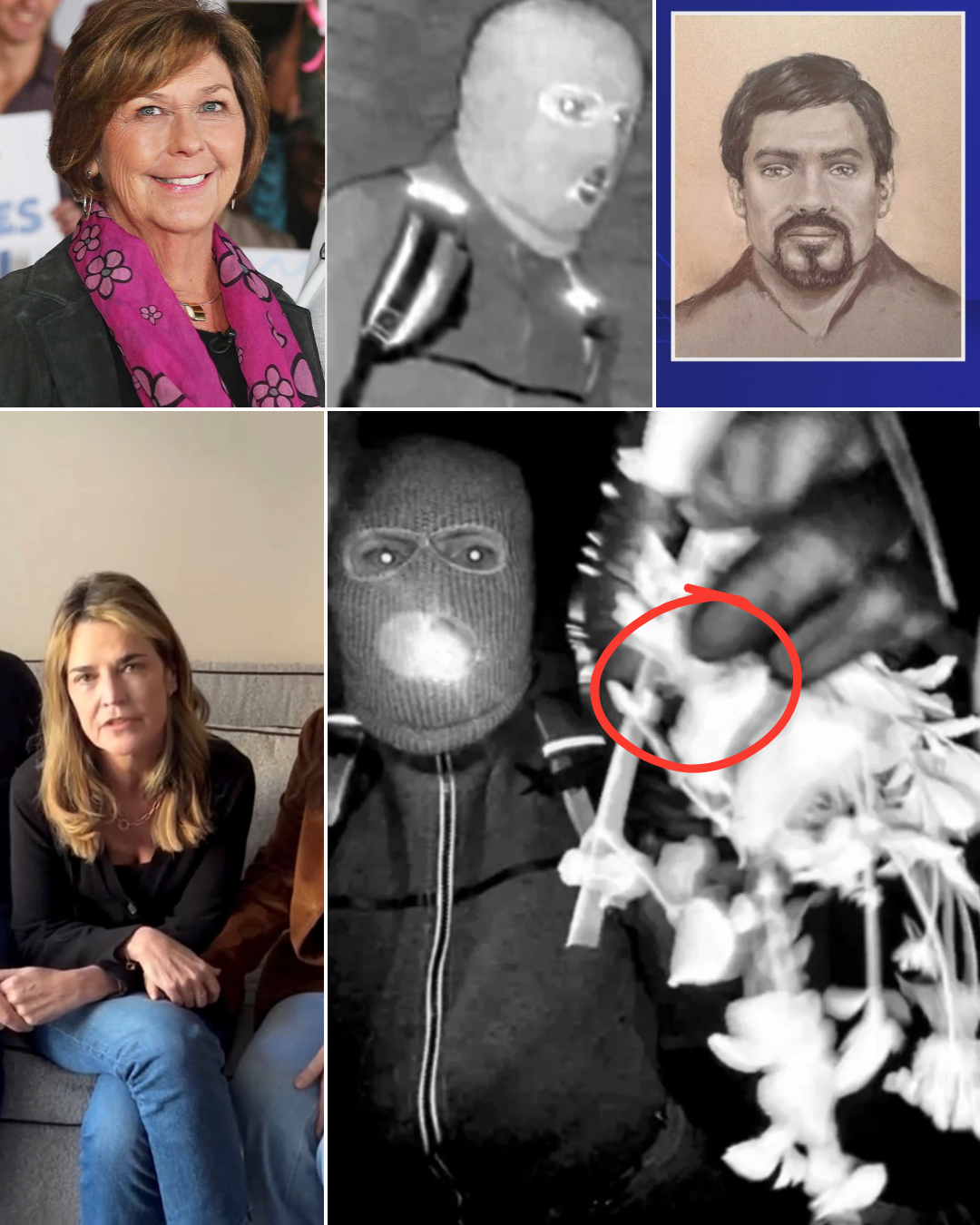 A sketch of the suspect in the disappearance of Nancy Guthrie has been released