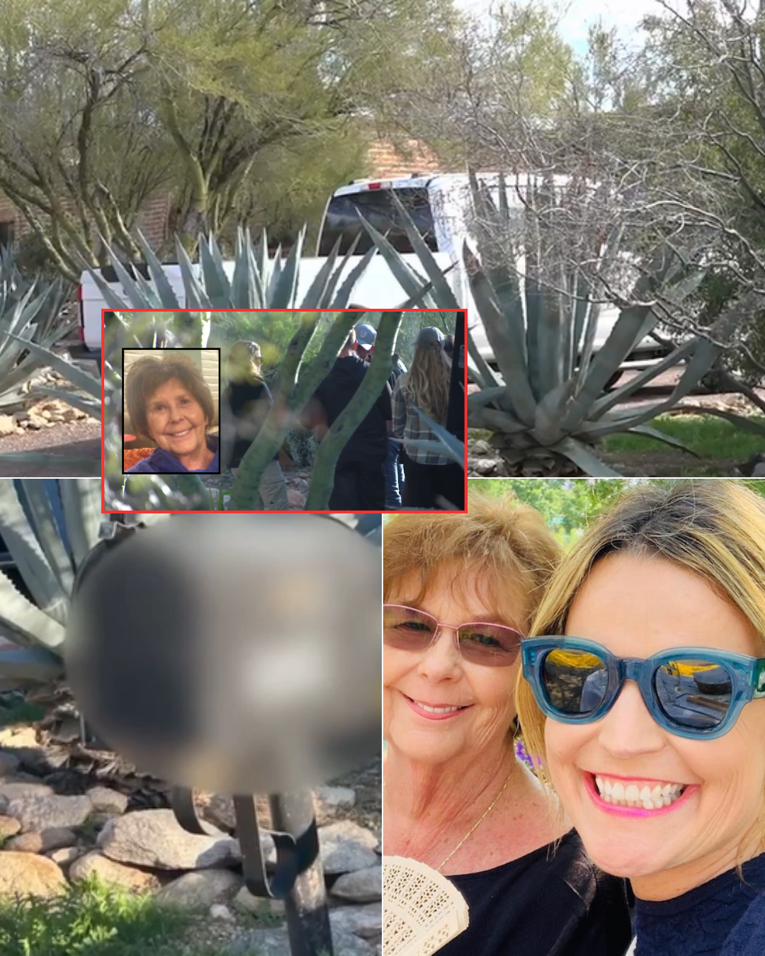 A Neighbor Spotted a Mysterious White Van Before Savannah Guthrie’s Mother Disappeared From Her Home — Inside the Vehicle Was…