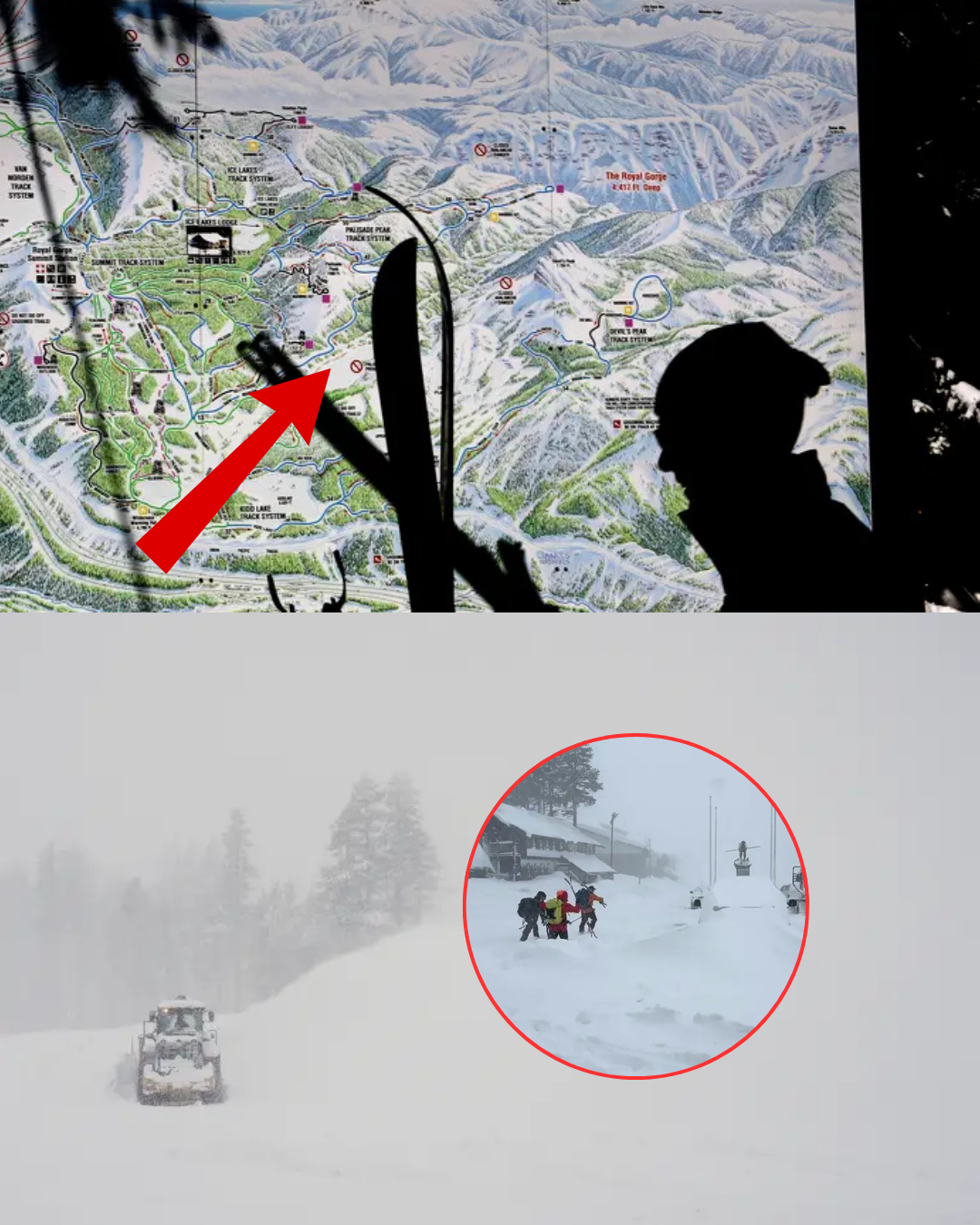 Victims Identified: Three women have been confirmed among the victims of the avalanche near Lake Tahoe—including a prominent figure from Stanford University