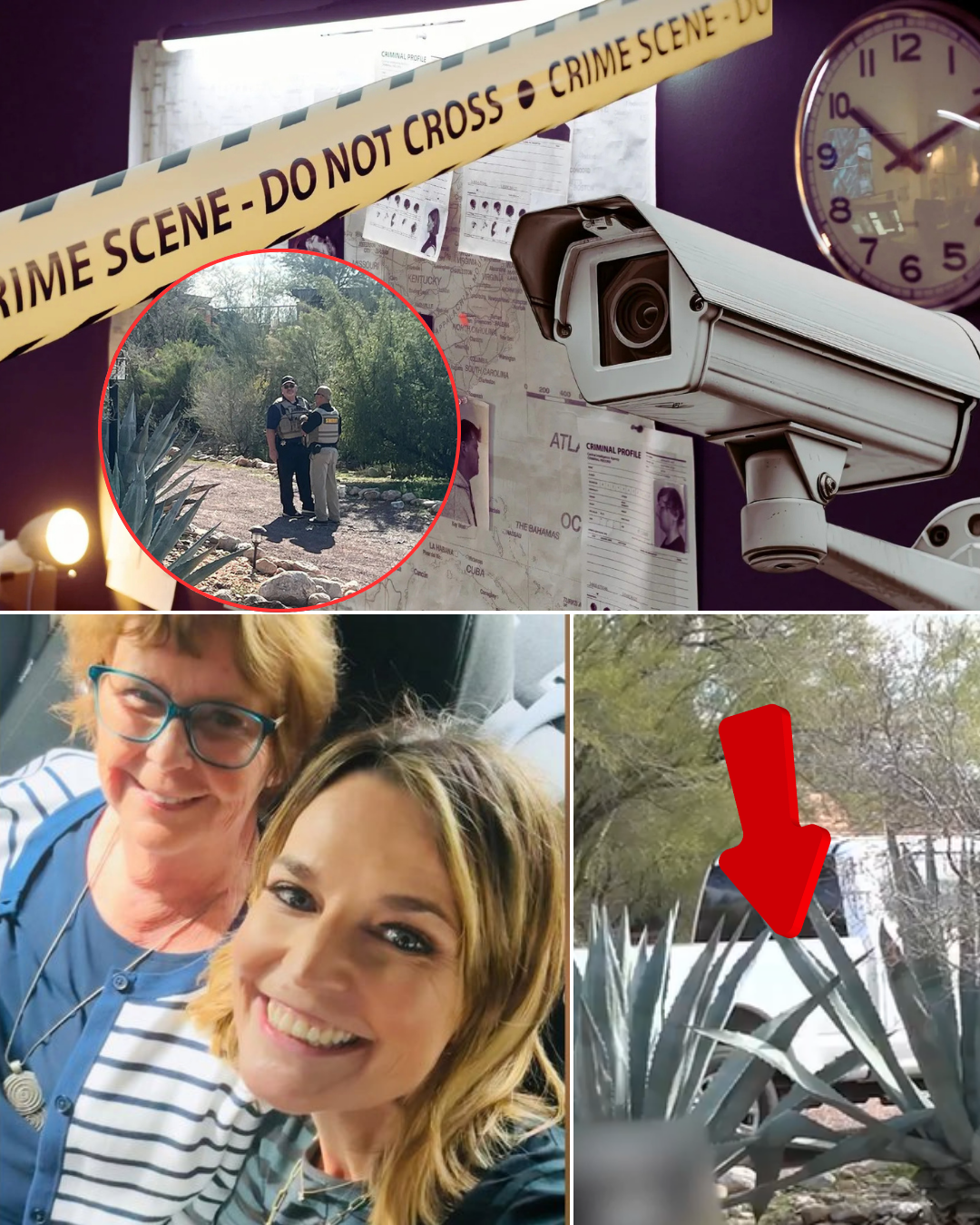 Savannah Guthrie and Her Brother Release New CCTV Footage Recorded in the Backyard — A Video That Has Shattered Countless American Hearts