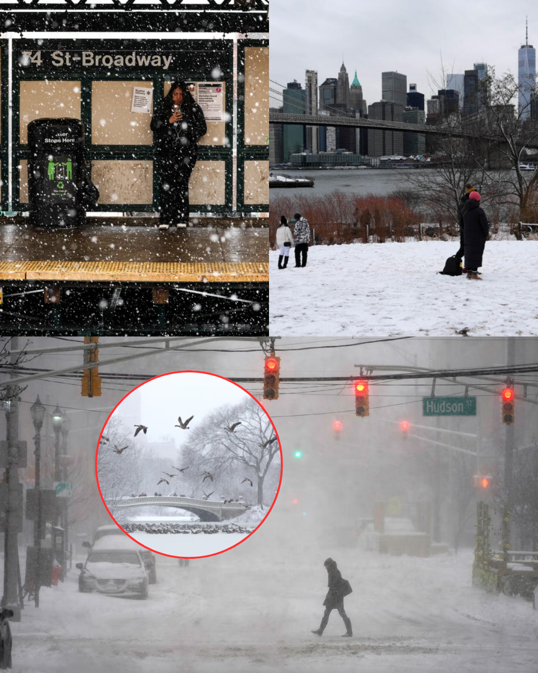 Blizzard Emergency Alert: These areas are bracing for a historic snowstorm, and residents are being urged to evacuate immediately