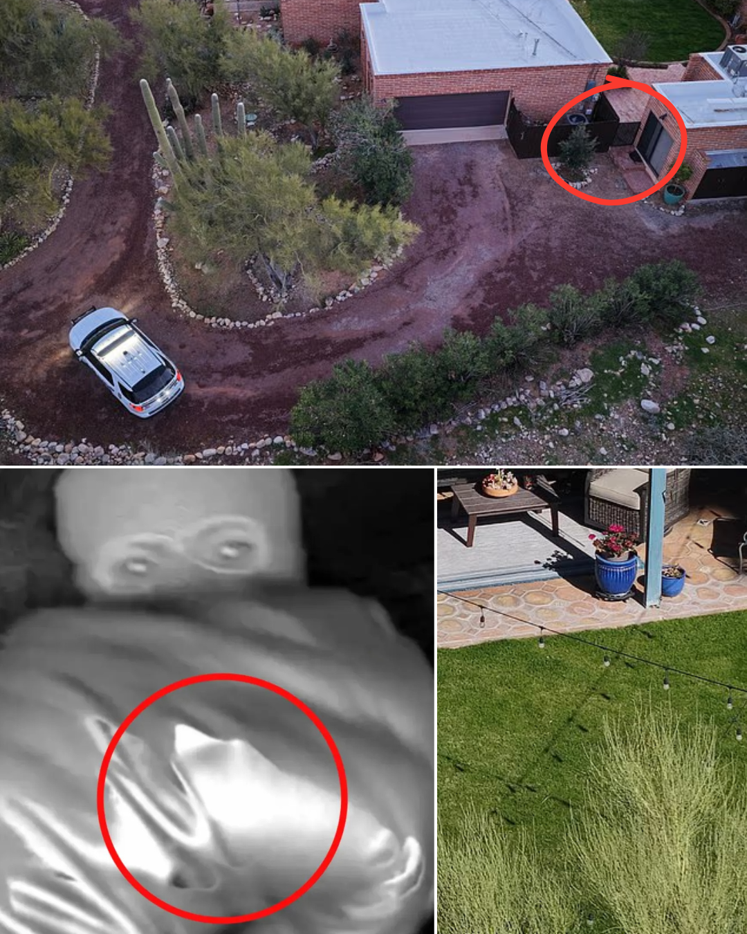 On Their First Day Back at Nancy Guthrie’s Home, Her Two Daughters Encountered Something Strange in the Backyard