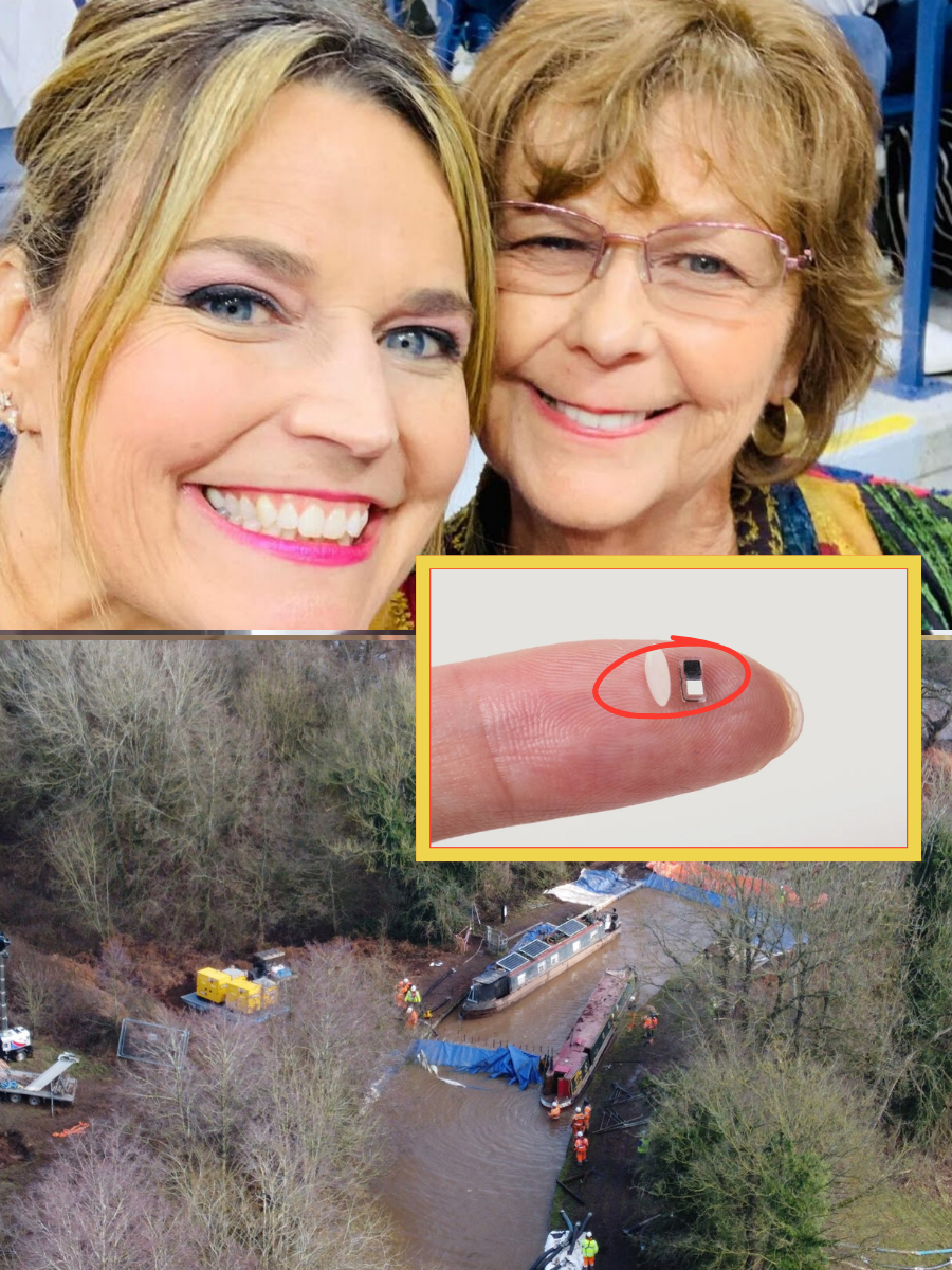 A Chilling Turn: Nancy Guthrie’s Pacemaker Is Found 30km From Her Home by the River — Prompting an Expanded Dive Search and a Discovery That Stunned Investigators…