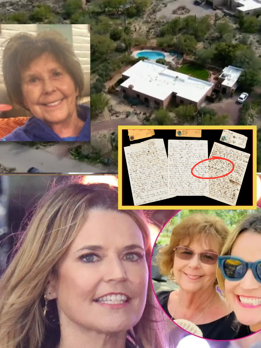 Nancy’s son-in-law, carrying something as he got into his car and drove away on the night she disappeared. His car was immediately searched by the police, who discovered something shocking…