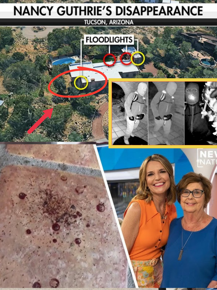 What Someone Tried to Erase Became the Breakthrough: Police Say a Partially Cleaned Blood Trail Linked to Nancy Guthrie Ultimately Led Them to Her Captivity Site…