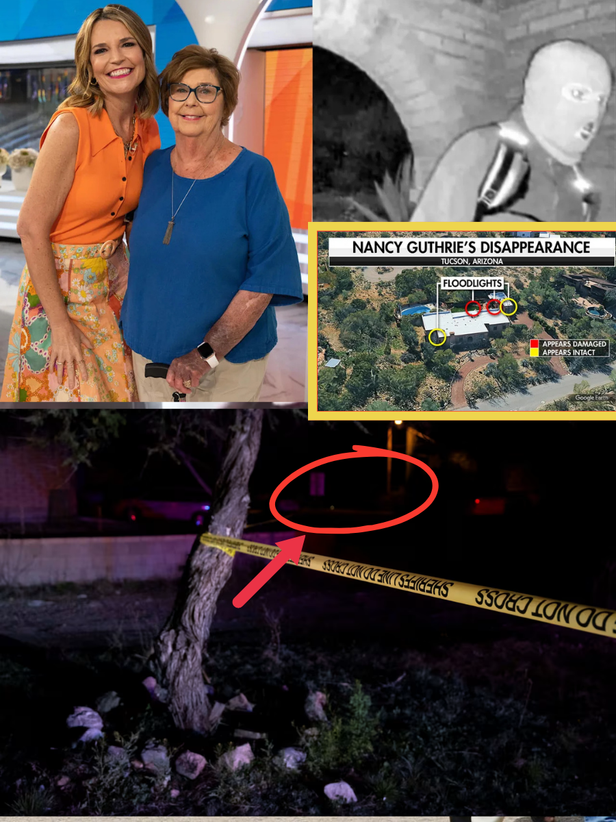 After all the information about Nancy Guthrie’s kidnapper leaked, Savannah Guthrie was shocked to realize who the man was…. ๐