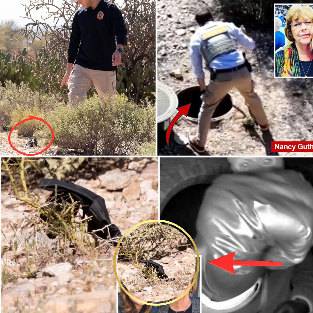 A pair of gloves identical to those found in the Nancy Guthrie case – A breakthrough after 11 days?