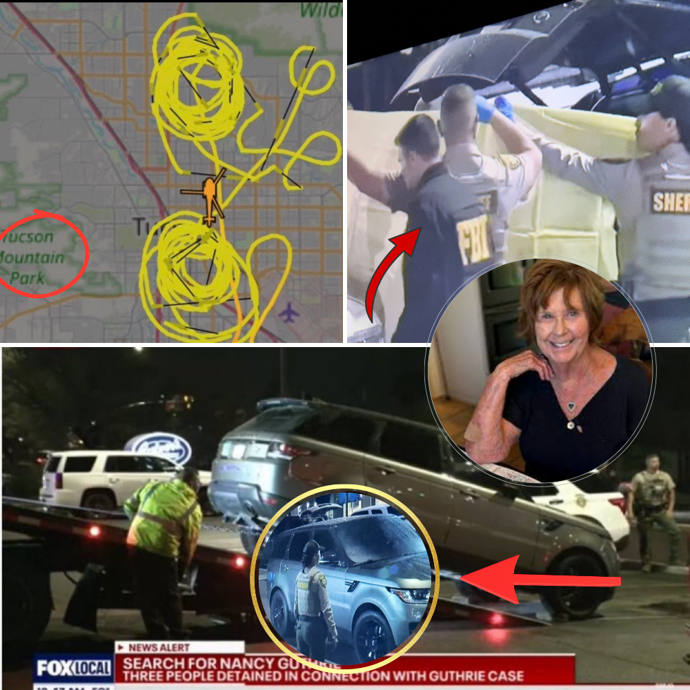 Breaking News: A crucial clue in Nancy’s kidnapping comes from a seemingly innocent remark by a neighbor.