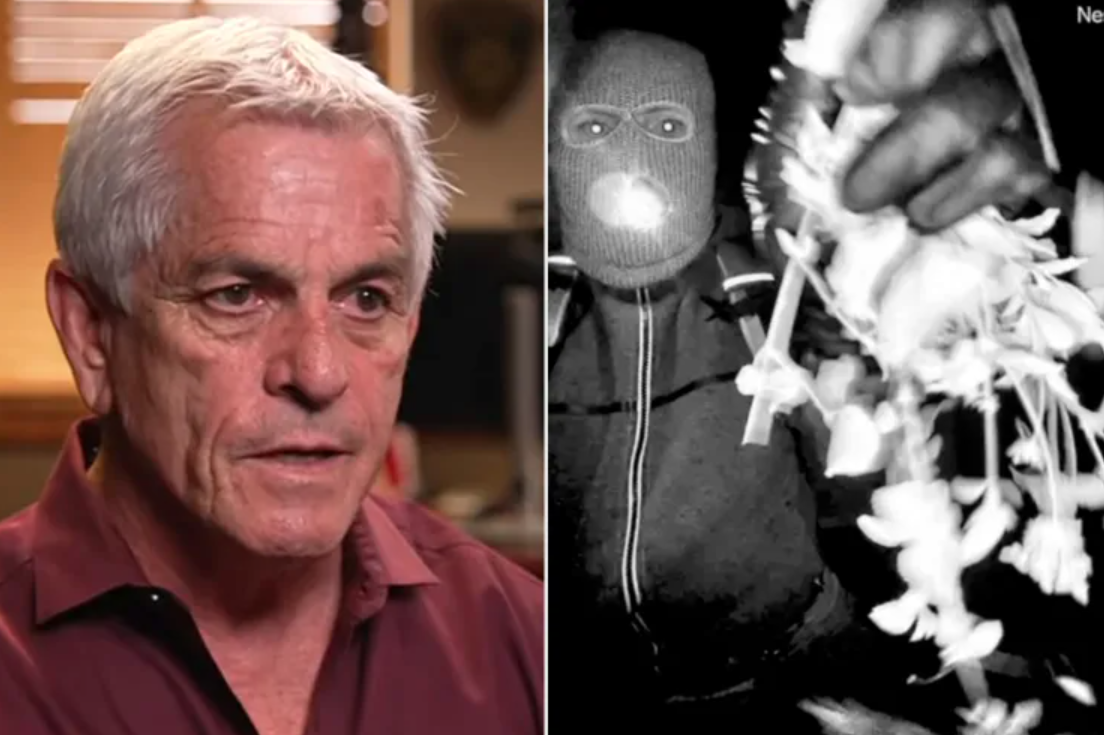 “He Knew Exactly Who He Wanted”: Sheriff Reveals Disturbing Twist in Nancy Guthrie Abduction