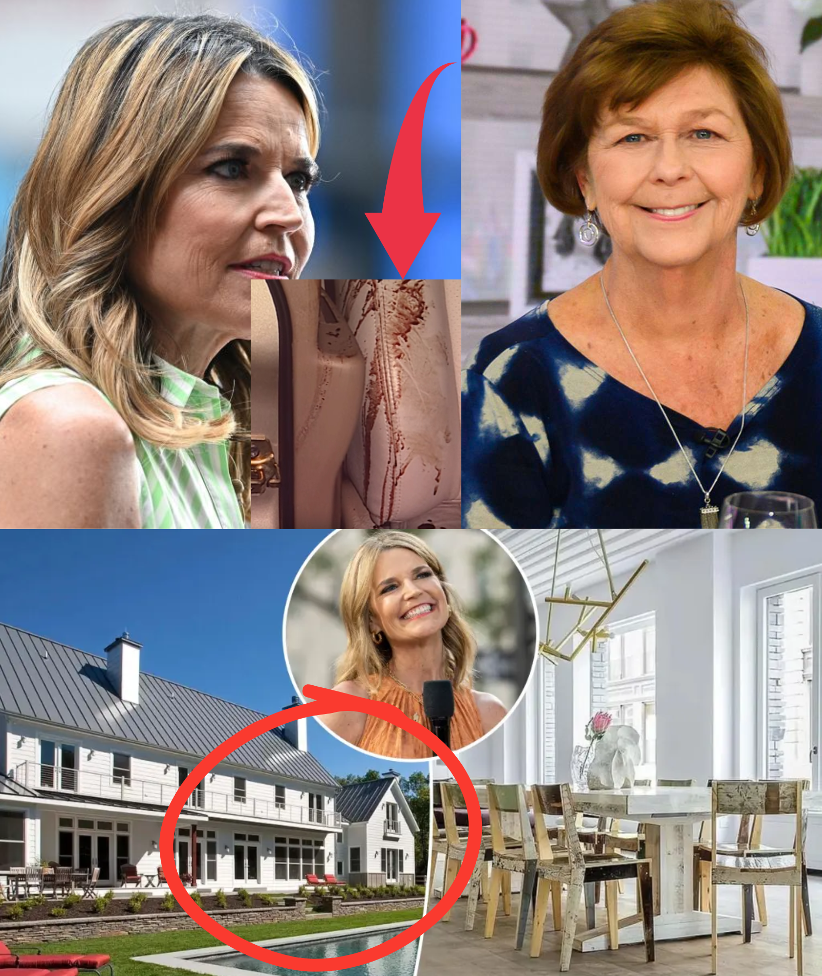 10 MINUTES AGO: A neighbor came forward as a witness in the disappearance of Savannah Guthrie’s mother, discovering blo;;o;;dstains along the road: ‘I was terrified—when I followed them, I saw a group of people