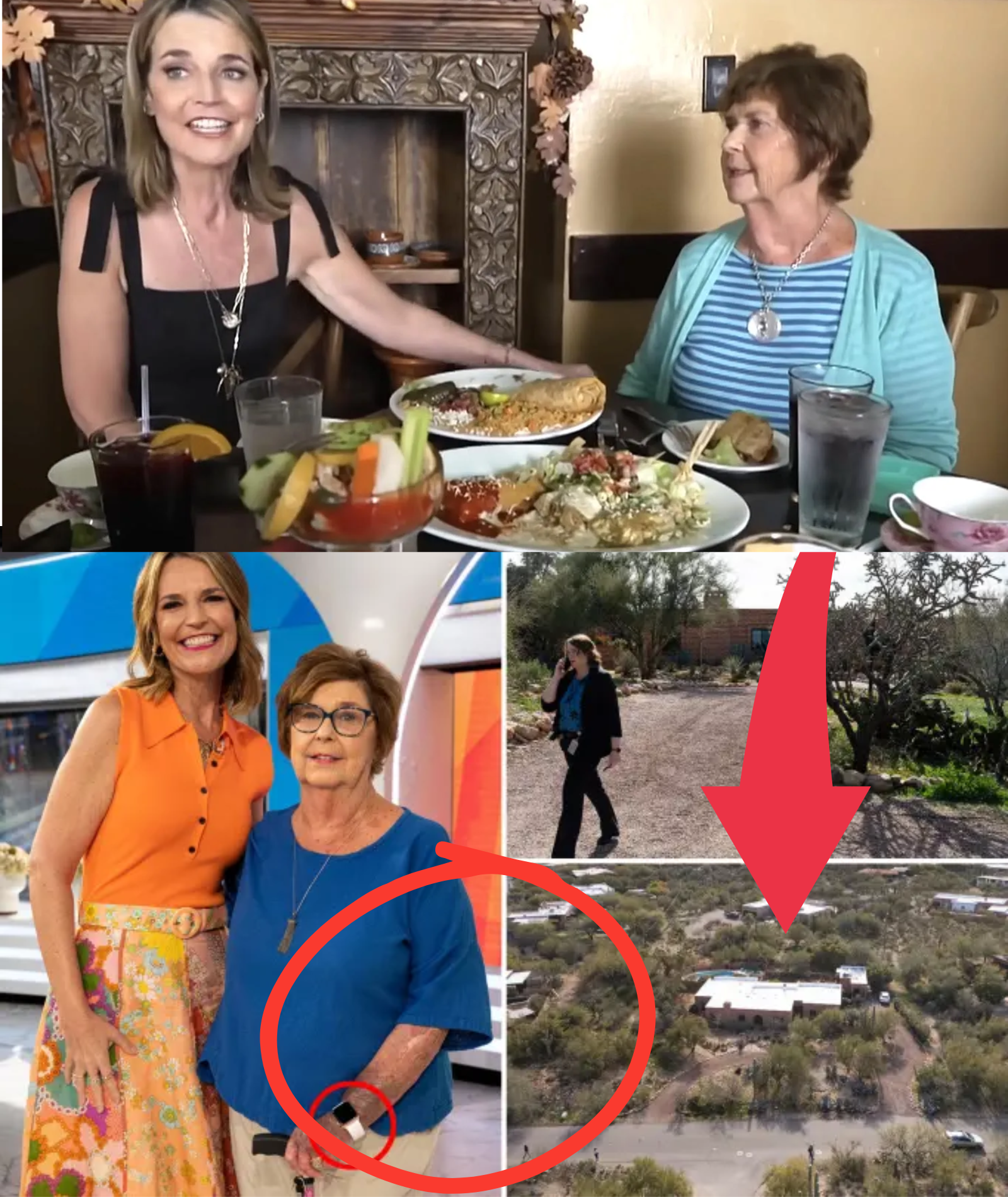BREAKING NEWS: Police insist Savannah Guthrie’s missing mother, Nancy, was mentally sound before vanishing, as a ‘highly alarming’ scene inside her residence reveals THREE major discoveries that could change the investigation