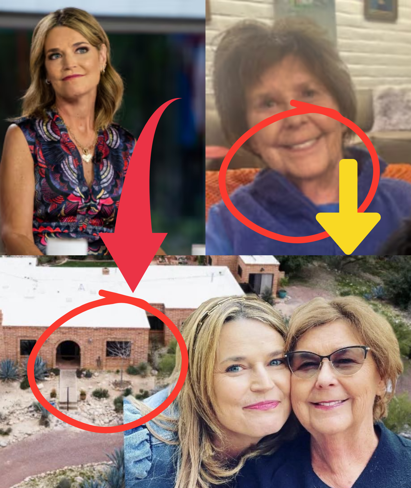 LATEST UPDATE ON THE DISAPPEARANCE: Neighbors reported that a suspicious, unmarked white van was seen parked on the street in the days before Nancy Guthrie vanished; police have IDENTIFIED THE LICENSE PLATE AND DISCOVERED NEW EVIDENCE….