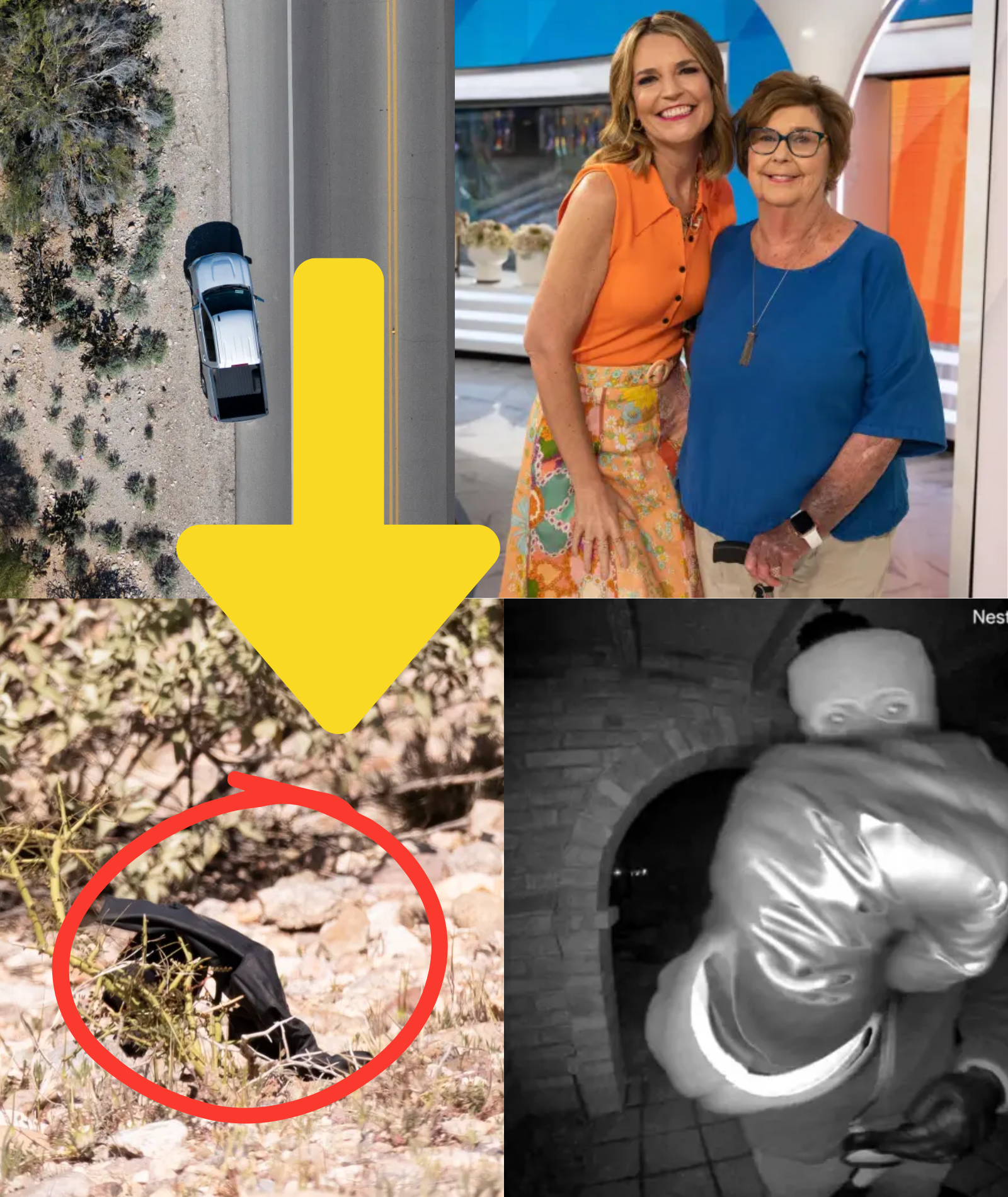 JUST IN: A BLACK GLOVE recovered by investigators may be a key clue in the Nancy Guthrie case — containing a THREE-WORD MESSAGE written by NANCY HERSELF