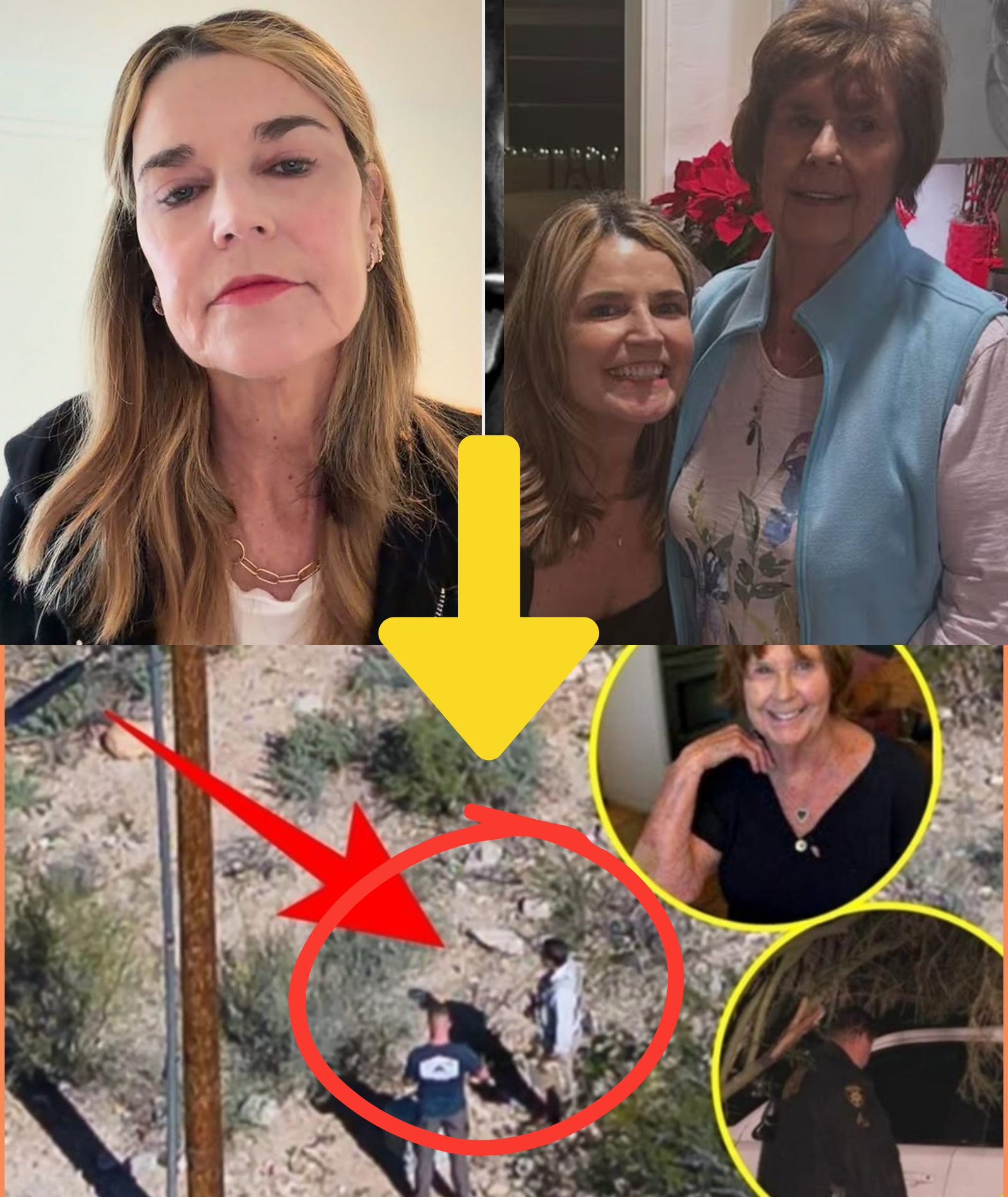 URGENT UPDATE: Authorities investigate a strange hole found behind Savannah Guthrie’s home after a gardener’s tip — America watches in sh;o;c;k while loved ones hurry to the scene….
