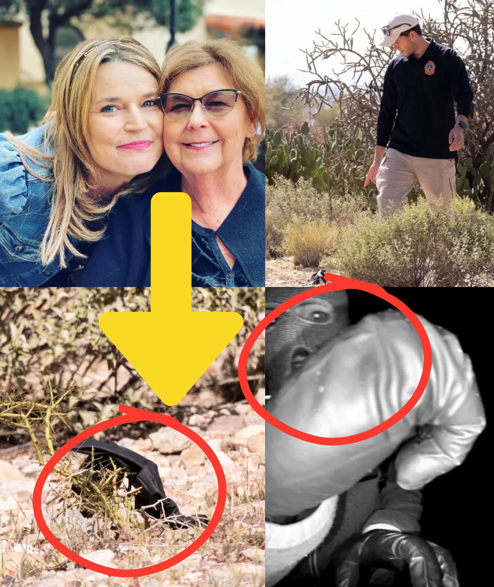 NEW DETAILS EMERGE: Authorities reveal the DNA on the glove found close to Nancy Guthrie’s house belongs to A FEMALE who had visited and rang her doorbell 3 MONTHS PRIOR