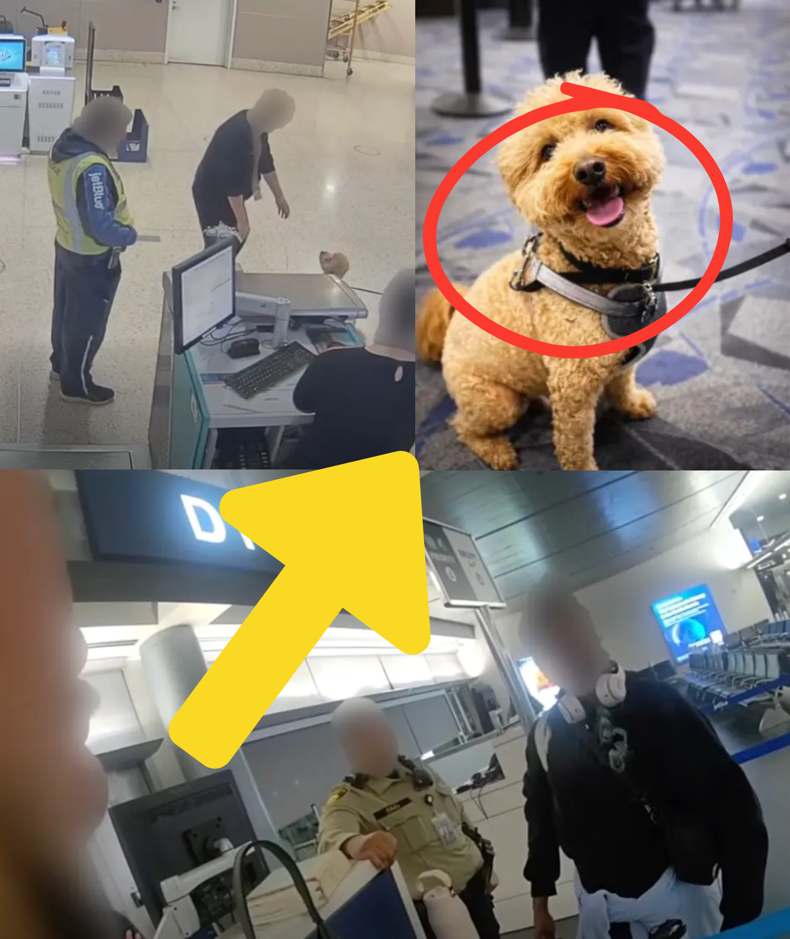 BREAKING NEWS: A careless traveler ARRESTED for leaving a 2-year-old dog behind at Harry Reid International Airport to board a flight; a JUST OUTCOME has finally been reached