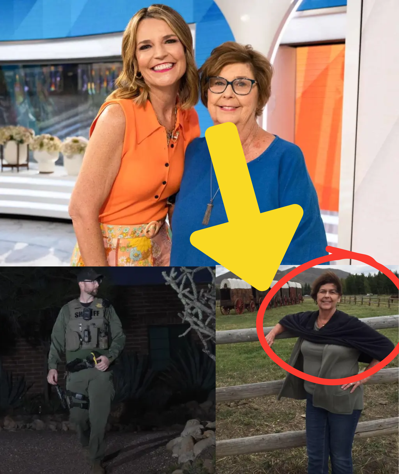 DEVELOPING: A PRIVATE INVESTIGATOR alleges a GANG staged the KIDNAPPING of Nancy Guthrie, branding it a planned TRAP as NEW EVIDENCE comes to light โ THE TRUTH HAS EMERGED