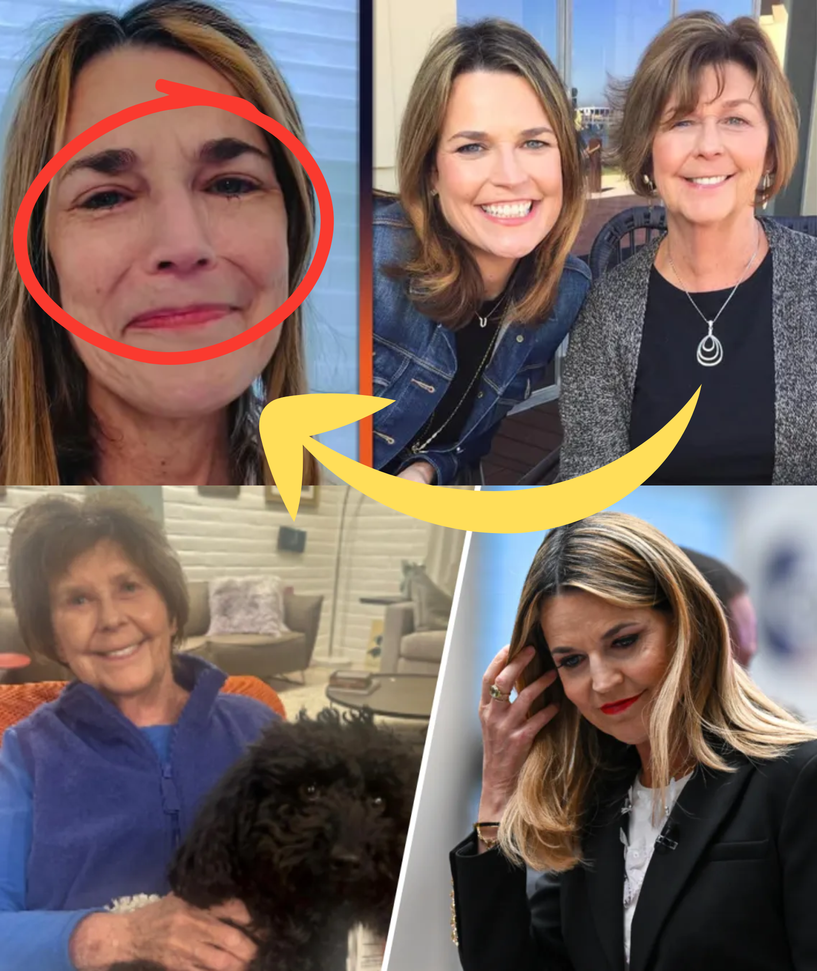 Nancy Guthrie Latest: Savannah Guthrie posts a new video and pledges a $1 MILLION reward โ SOMEONE comes forward, confident they have the EVIDENCE needed to win it