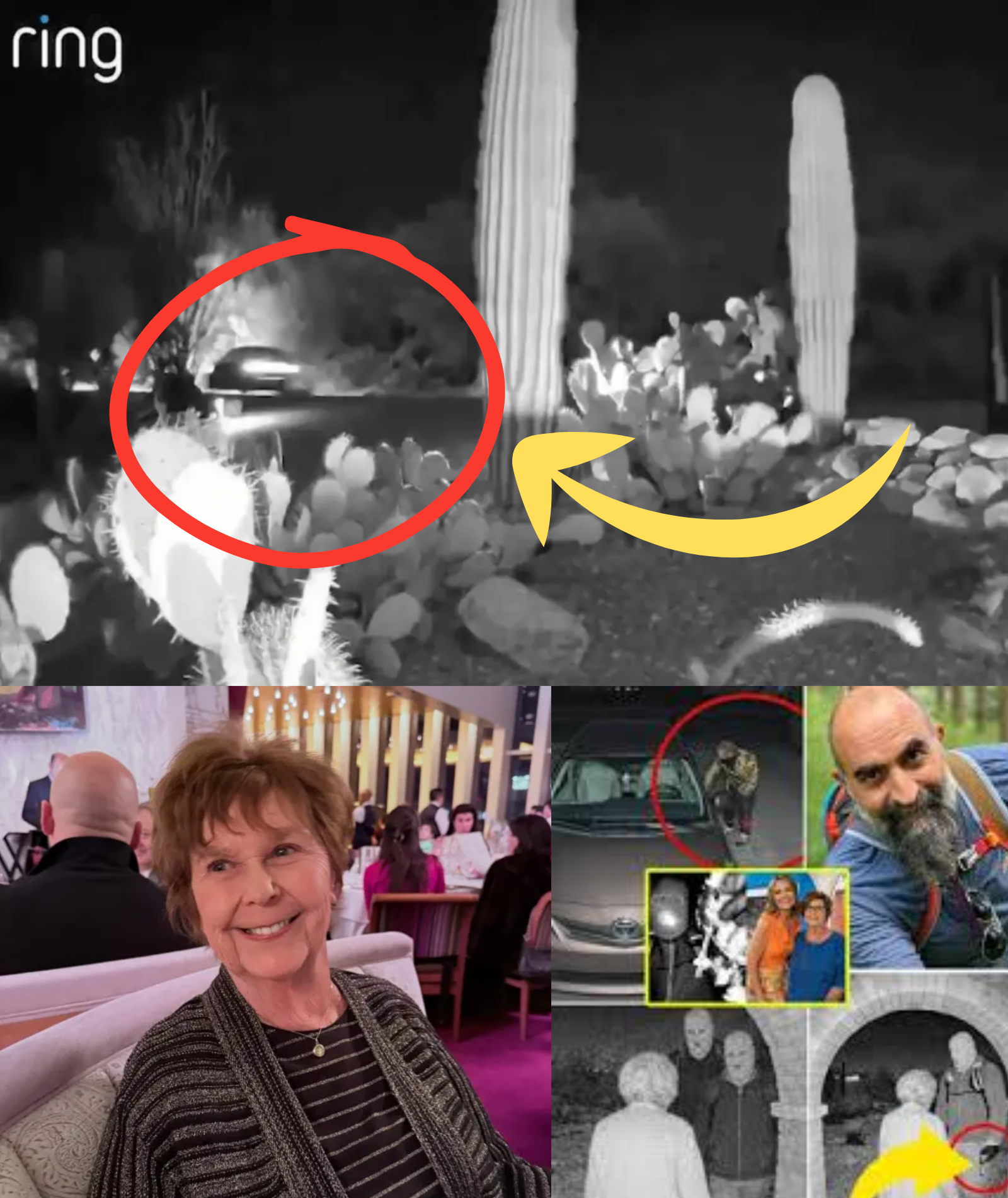 DEVELOPING: Exclusive VIDEO captures CARS circling the Tucson home on the night Nancy Guthrie was abducted, LICENSE PLATE officially traced