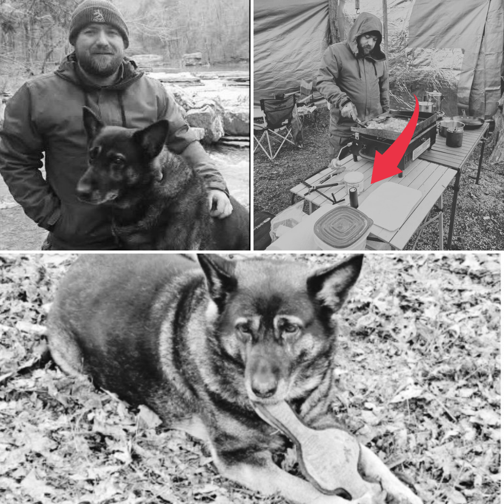 CHRIS PALMER’S FATHER COULDN’T REMAIN SILENT ANY LONGER….