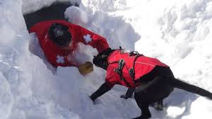 FOOTAGE FROM RESCUE WORKERS’ BODY CAMERAS RELEASED: Haunting moments as they pull dead victims from Tahoe avalanche, shocking forensic results 👇
