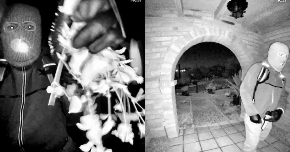 Federal Update: A Subsurface Radar Scan in Nancy Guthrie’s Yard Triggers an Immediate Pullback by Search Crews — Agents Describe the Discovery as Significant… 👇👇