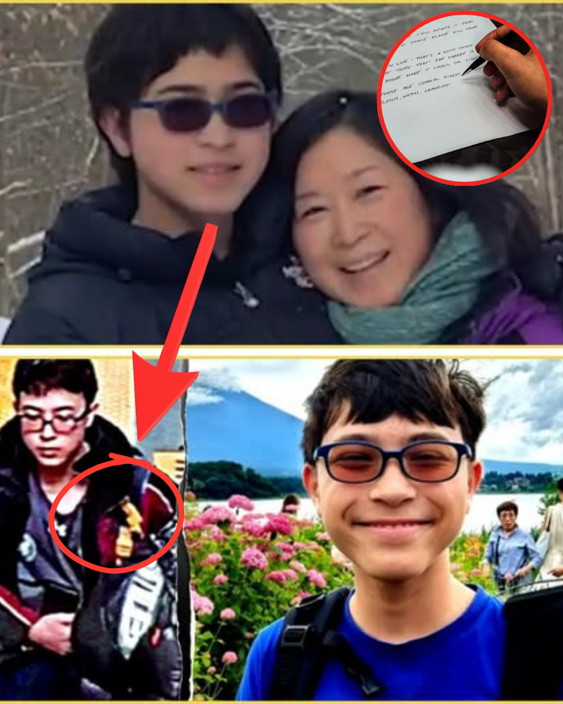 A Diary Entry Shocks the Nation: A Mother’s Promise to Her Missing Son