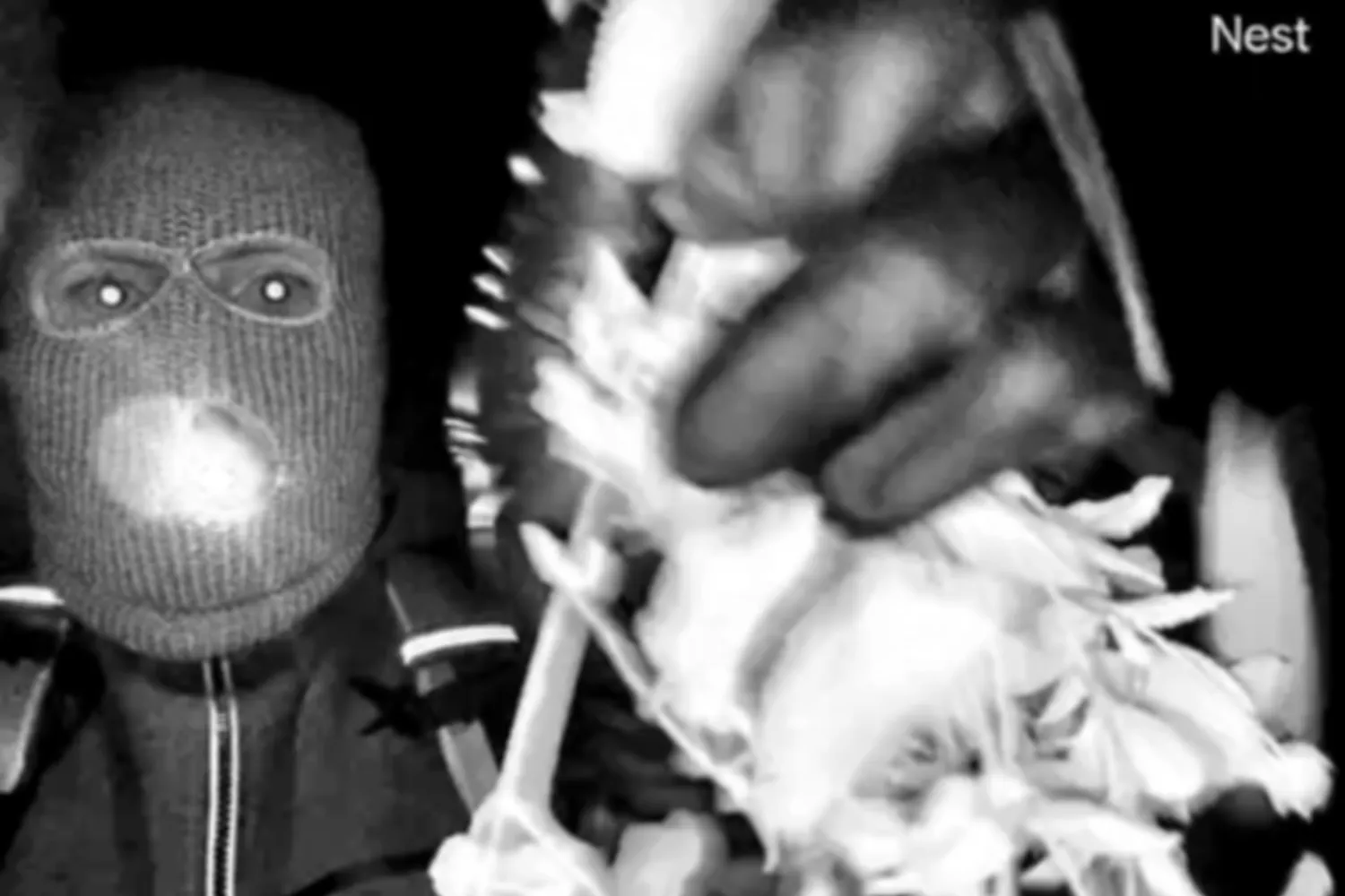 DNA Match Suspicion: The glove containing DNA collected by investigators in the Nancy Guthrie case appears to match the glove belonging to…