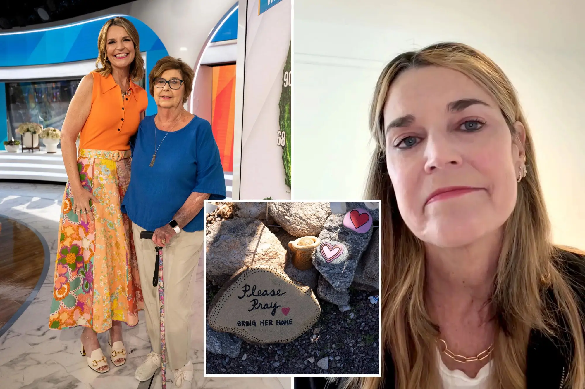 3 Minutes Ago: Police Conduct an Emergency Search of the Septic Tank at Nancy’s Home — What They Found Triggered an Emotional Collapse From Savannah Guthrie…