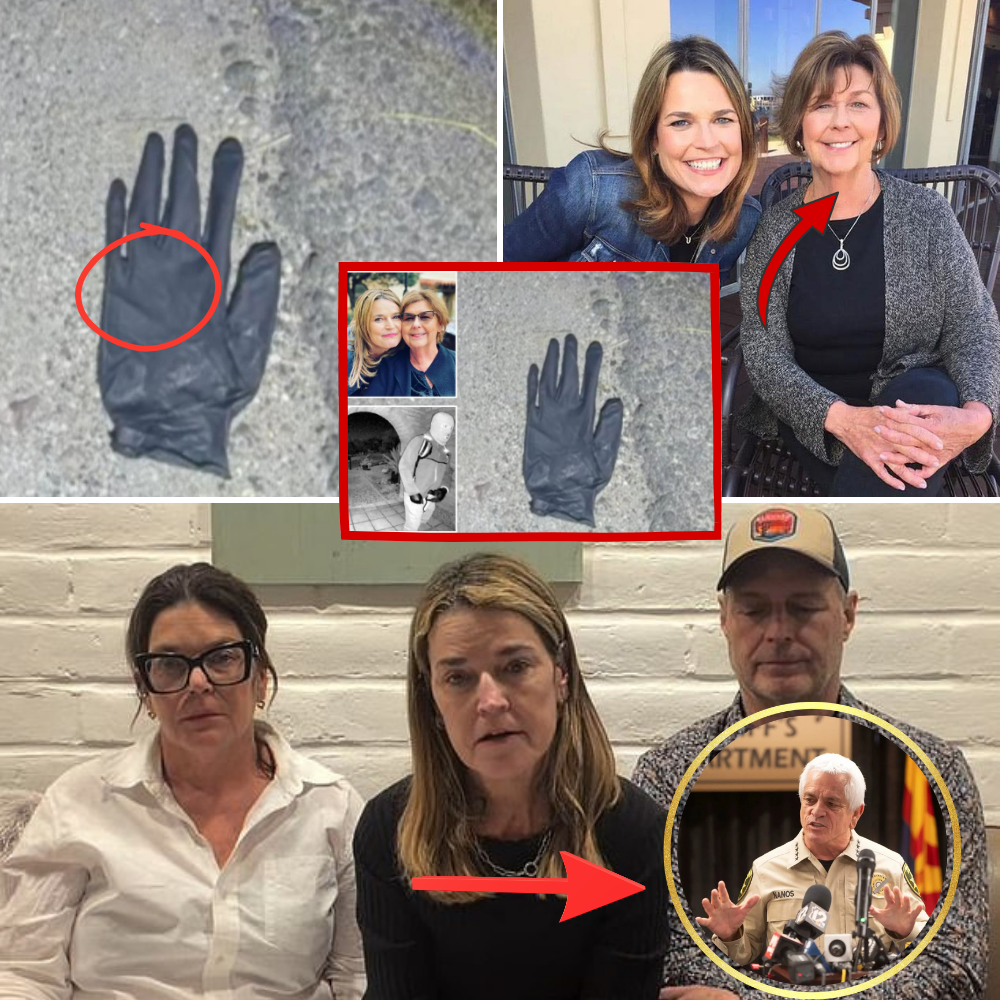 Arizona couple finds bloodstained evidence near Nancy’s home – Will the investigation take a new turn?…