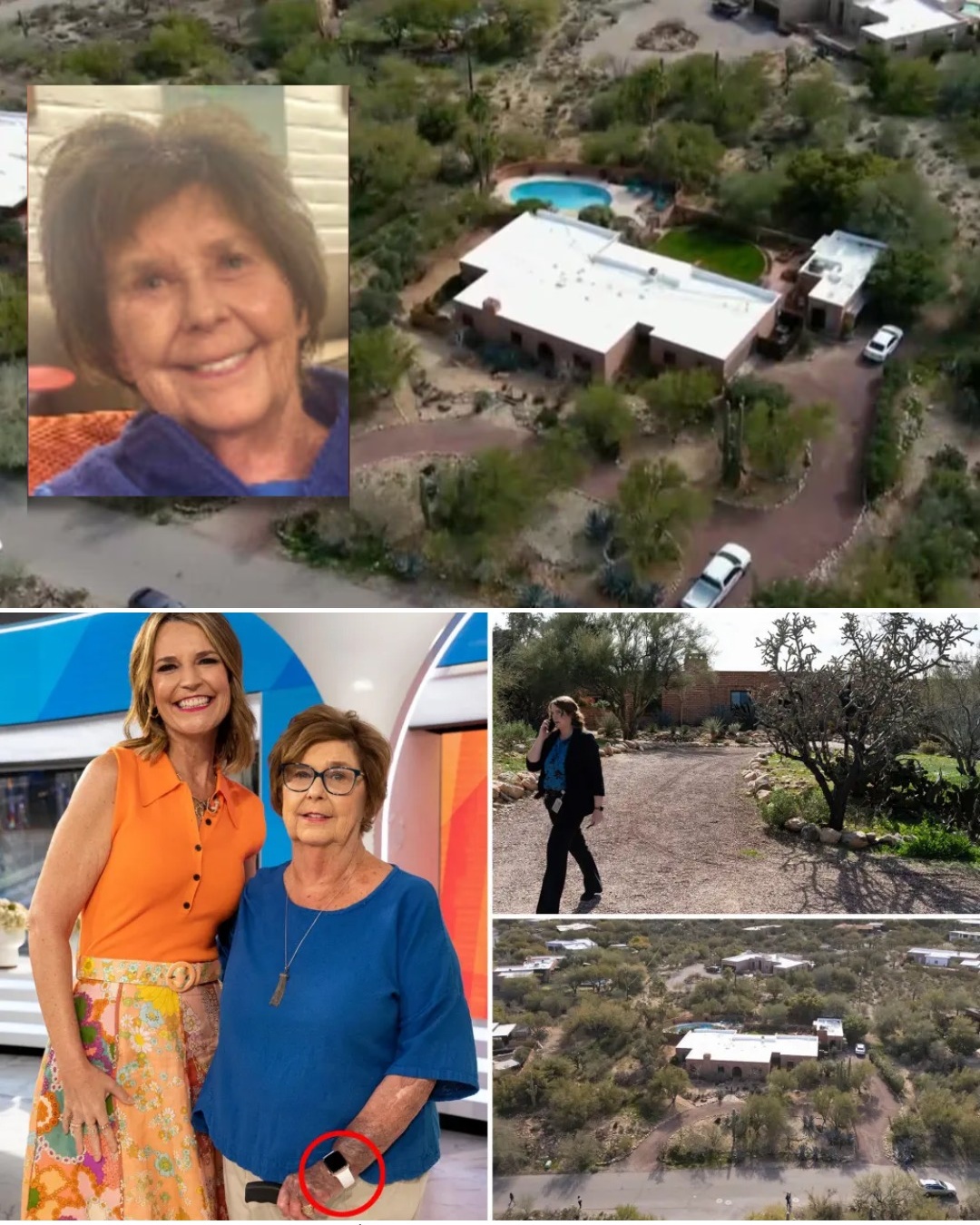 NANCY’S INCIDENT: At exactly 2:03 AM, the health monitoring system (connected between the Apple Watch and the phone) suddenly stopped syncing data. This was not due to a dead battery or a network error, but an extremely unusual physical disruption