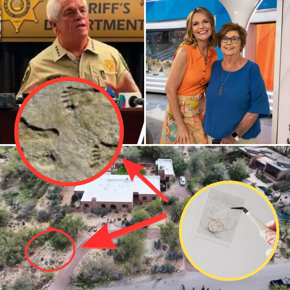 1 MINUTE AGO: The police chief unexpectedly announced: Savannah Guthrie’s mother’s house is the “crime scene” — and she didn’t leave as everyone thought. The detail was discovered thanks to a single object in the corner next to the cabinet where she usually kept her medication….