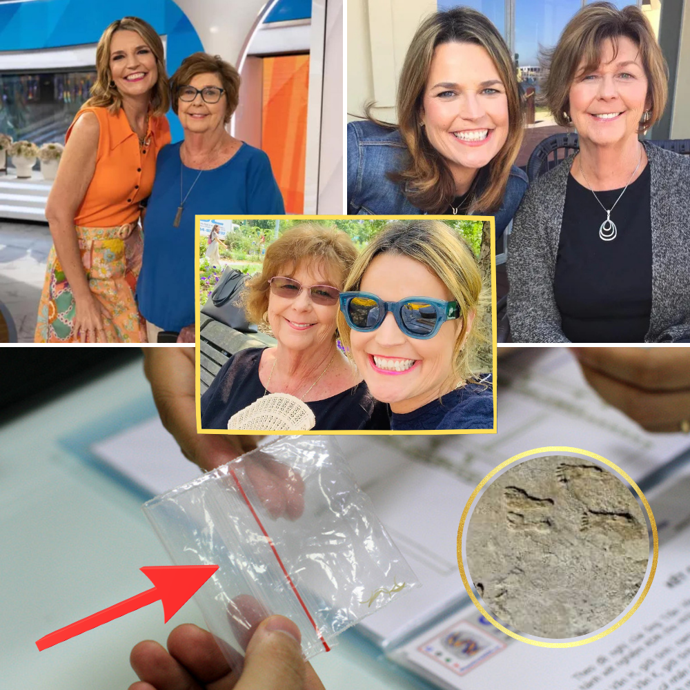 5 MINUTES AGO: Bloodstains were discovered at the home of Savannah Guthrie’s mother, who is missing, as the search concluded its investigation. POLICE IDENTIFY POSSIBLY THE IDENTITY OF THE KIDNAPPER….