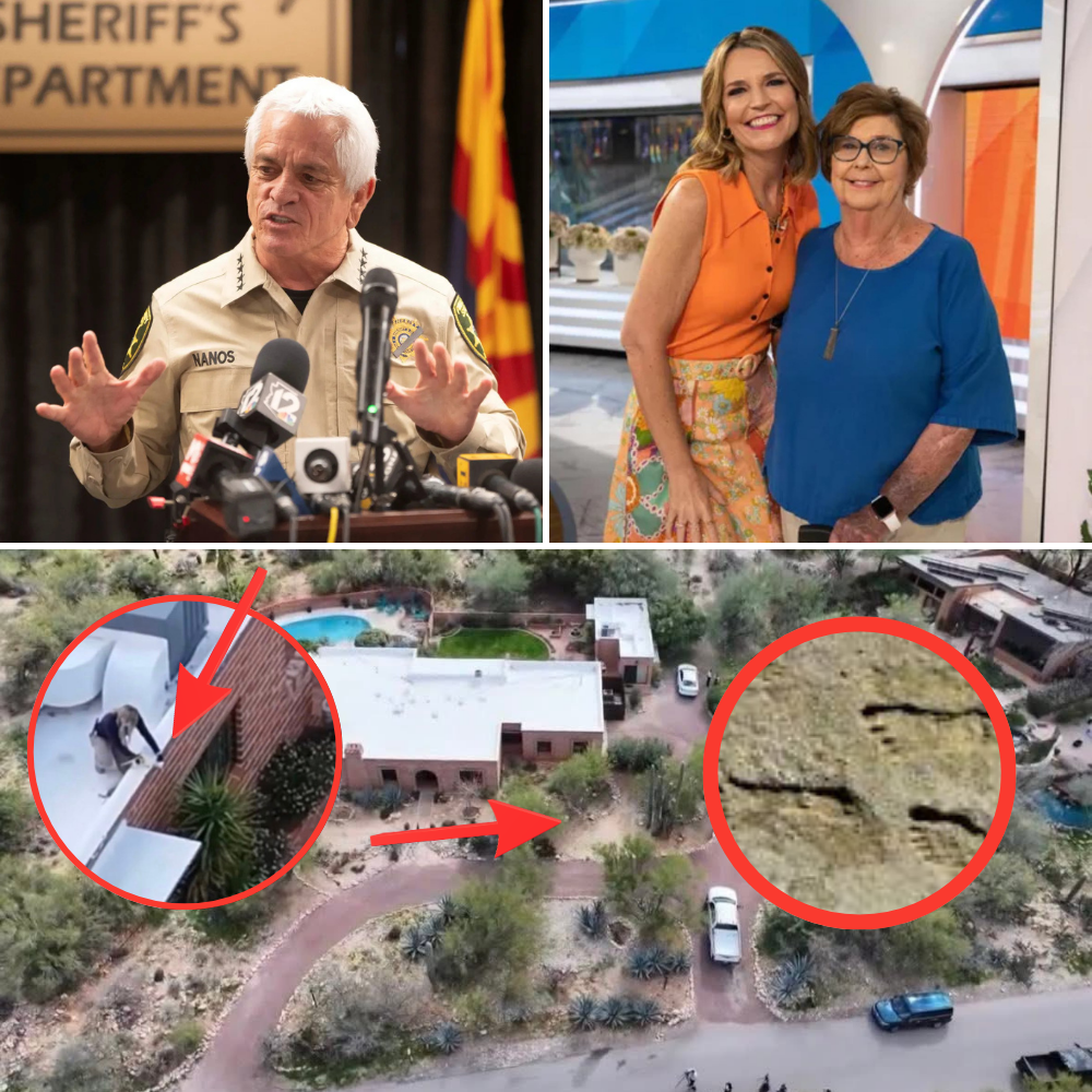 10 minutes ago: Police chief confirms data from two vandalized cameras has been recovered — the scene is no longer “blank” as initially thought